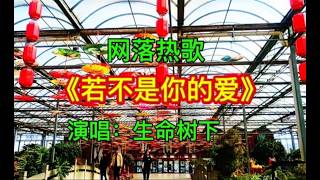 生命树下精彩演唱《若不是你的爱》旋律优美深情，唱的真好听！