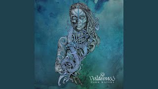 Watch Vvilderness It Comes With The Rain video