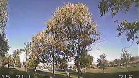 BeeRotor 30a 2207 2780kv