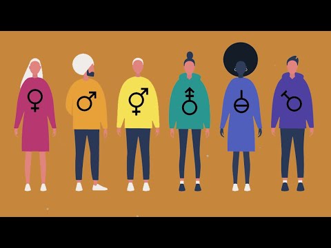 Video: Que Géneros De Clasicismo Existen
