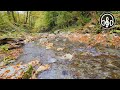 Sounds Of Nature 8 Hours. Gentle Mountain River For Deep Sleep, Relaxation and Meditation.