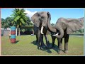 Let's Welcome Our African Elephants! | Planet Zoo Franchise | Lets Play Hard Mode