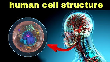 मानव सेल की संरचना - cell structure and anatomy