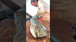 Huge Dolphin Fish Cutting Skills | Mahi Mahi Fish Cutting SKills #shorts