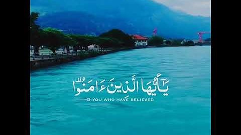 ان الله وملائكته يصلون على النبي 🌹 حالات واتس اب دينية قصيرة مؤثرة قرآن كريم تلاوة خاشعة انستا