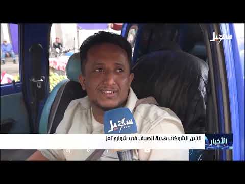 التين الشوكي... فاكهة يمنية تقليدية بفوائد صحية