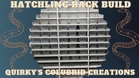 Hatchling Rack Build!