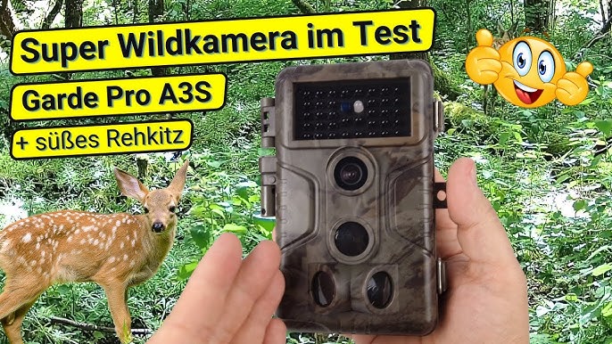 Solar Wildkamera CEYOMUR CY95 || Im Test (Praxistest) (4K, 51% OFF