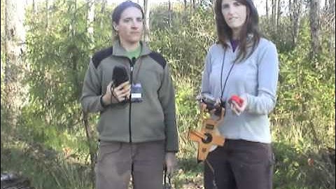 Forest Monitoring 2 - Tools for Forest Monitoring