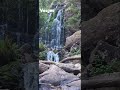 #Voges #travel #massif #shotsvideo #naturefresh #naturevideos #relax #nature