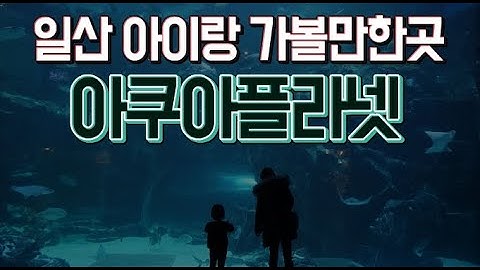 경기도 일산 아이와 가볼만한곳 일산아쿠아플라넷 후기