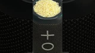 tribit speaker best test with rice 🌾