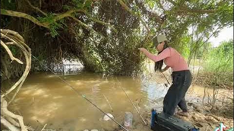 Quay lại bãi câu cá diêu hồng khủng