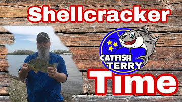 Shellcracker time in Tennessee