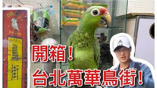 台灣最長鸚鵡街？開箱台北鳥街！【鸚鵡小木屋】【 Jack的開箱 ... 