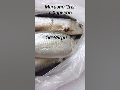 Цена на соленую салаку #салака #ценывукраине #рыба #ценынапродукты # ...