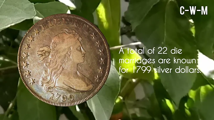 USA Classic Coin 1799 Draped Bust Silver Dollar Liberty Discussion