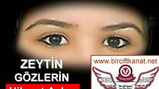 zeytin gözlerin hikmet aslan kimya bozan adam