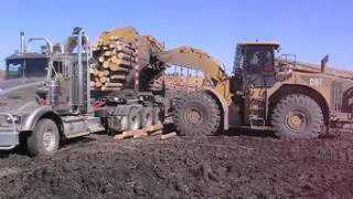 CWS Wheel Loader Log Grapple