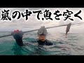 悪天候の海で魚を突いて喰らう