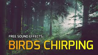 BIRDS CHIRPING -  FREE SOUND EFFECTS | Download Free Sounds | Forest Birds | Relaxing Nature Sounds