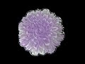 Transform Resin Into Gorgeous 3D Flower Blooms