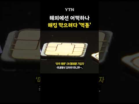 공항도 '난리법석' #shorts / YTN