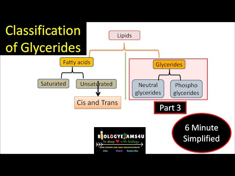 What are Glycerides? Neutral Glycerides vs Phosphoglycerides with example|| Lipids-Part 3