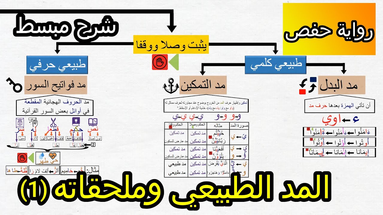 لا تخلط بينها بعد اليوم! أسرار مد البدل، التمكين، وفواتح السور (ج1) | رواية حفص