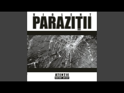 Paraziții - Ca fuga pe gheata (Cheloo Remix)