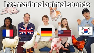 Animal Sound Differences Around The World! screenshot 2