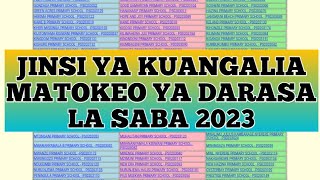 🔴 HABARI MPYA! Jinsi ya kuangalia Matokeo ya Darasa la SABA 2023....