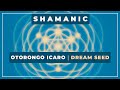  otorongo icaro  dream seed  shamanic songs