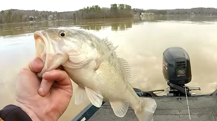 Winter bass tournament at Lake Norman cold muddy water