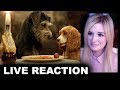 Lady & The Tramp Trailer REACTION