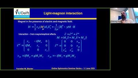 Online Spintronics Seminar #69: Yaroslav Blanter