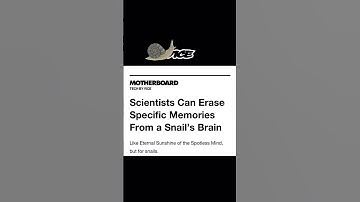 Scientists erase snail memories:  a breakthrough in memory research?#science #snails