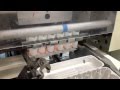 Intech 8300 Diamond Egg Grader Reconditioned HD.mov