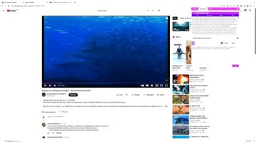 Youtube Scripter Demo