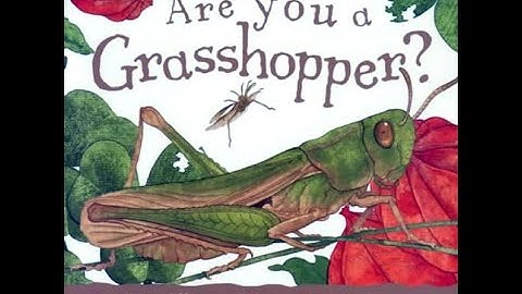 Kids Book Read Aloud: Are You a Grasshopper? by Judy Allen and Tudor Humphries
