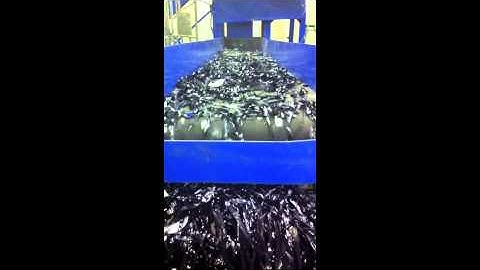 Erecycler Back Up Tape Shredding