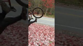 Cyclist Falls for Fall Colors || ViralHog