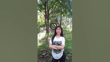 Cute Fypyoutube Highlights 2025 Dancechallenge Tiktokviral Trendingvideo Trending 