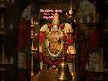 గురువారం రాత్రి అద్భుత దర్శనం 🙏 రేపటి శుక్రవారం మీకు విజయాన్ని ఇవ్వాలి ✨ #Tirumala #Shorts