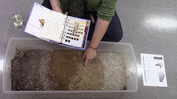Describing Soil Profiles: Colour