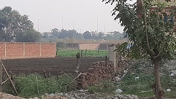 2 kattha plot in Mithila Colony,Digha.44