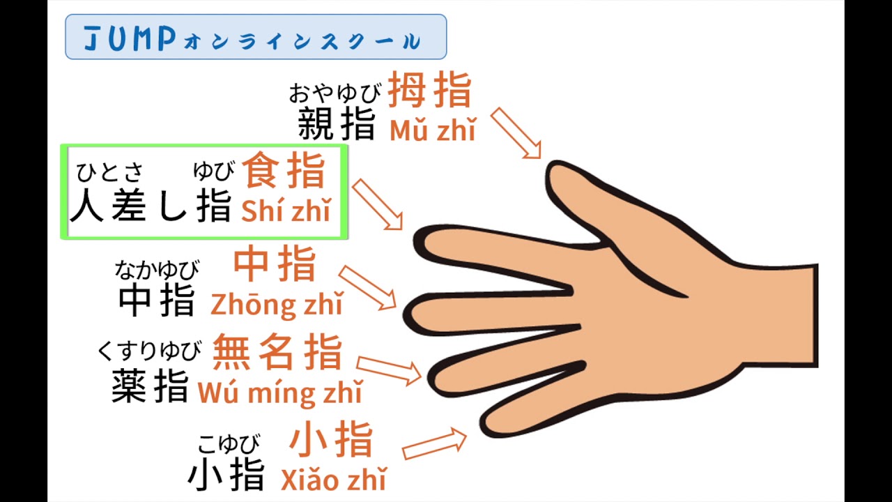 指の名前 を台湾中国語で覚えよう 親指 人差し指 中指 薬指 小指 台湾華語の勉強 発音ピンイン Youtube