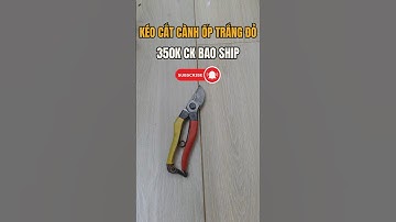 MÃ K14, KÉO CẮT CÀNH ỐP TRĂNG ĐỎ 18CM 350K CK BAO SHIP #đồnhậtbãi #kéonhậtbãi #kéocắtcành #kéobonsai