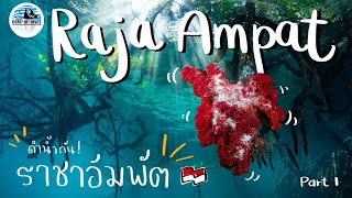 ทริปดำน้ำ ราชาอัมพัต ประเทศอินโดนีเซีย Raja ampat The last paradise : Part 1 l VLOG