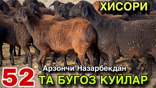 видео: 52 БОШ БУГОЗ КУЙЛАР СОТУВДА! АРЗОНЧИ НАЗАРБЕК АКАДАН СОТИЛАДИ!  картинка: 52 БОШ БУГОЗ КУЙЛАР СОТУВДА! АРЗОНЧИ НАЗАРБЕК АКАДАН СОТИЛАДИ!